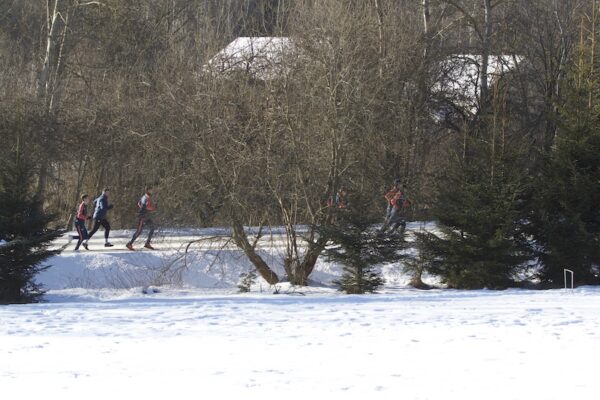 IMG_7560 (kopie 2)
